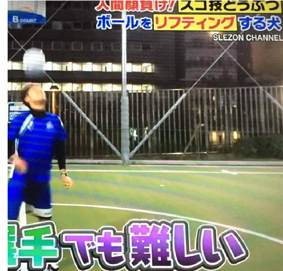 神奈川でサッカー家庭教師